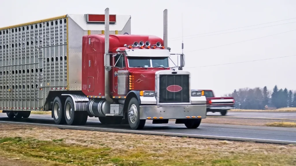 Livestock trucks are equipped to transport animals like cattle, pigs, or sheep. These trucks are designed with ventilation and containment features to ensure the safety of the animals during transit. Accidents involving livestock trucks can result in animals escaping onto the roadway, creating hazardous conditions for other drivers.