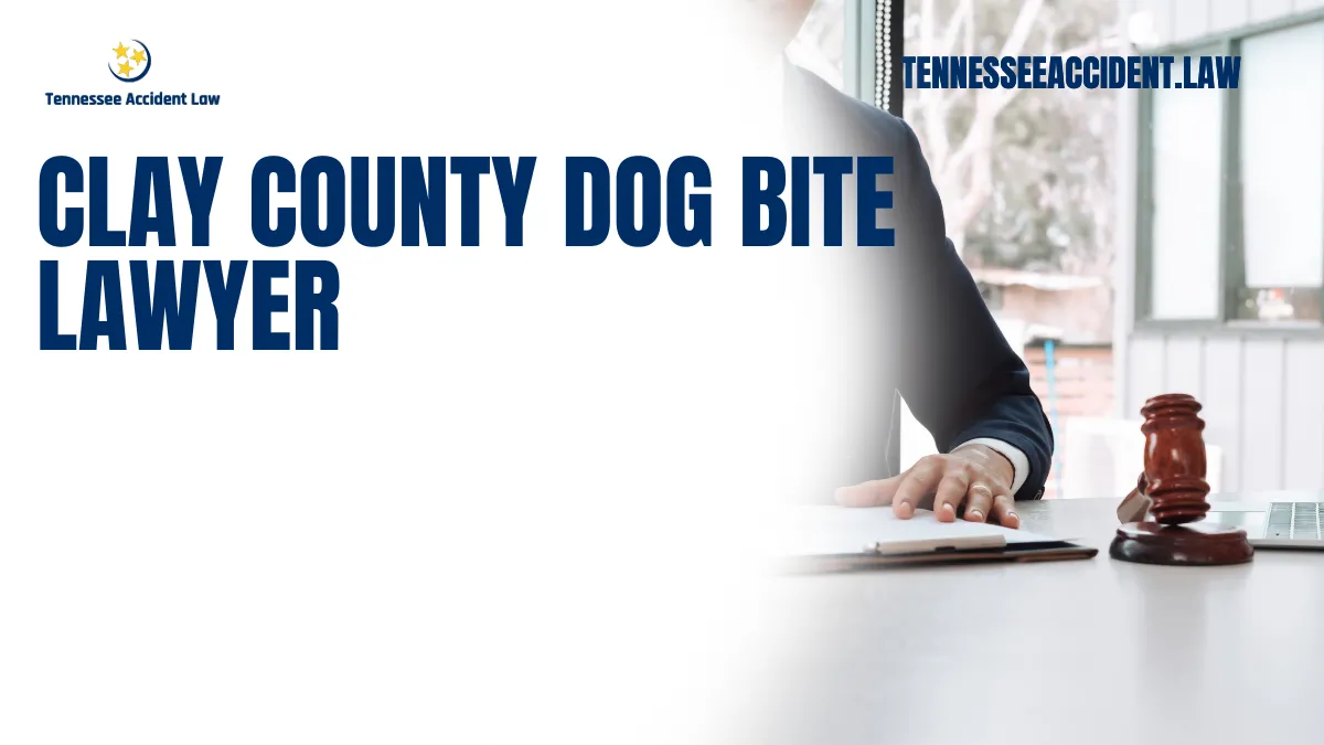 If you've been bitten by a dog in Clay County, Tennessee, it's important to understand your legal rights. Dog bites can cause significant physical and emotional harm, and if you or a loved one has been a victim of a dog attack, the experienced team at Tennessee Accident Law can help. As a trusted law firm specializing in personal injury, including dog bite cases, we are here to guide you through the legal process, protect your interests, and ensure that you receive the compensation you deserve.